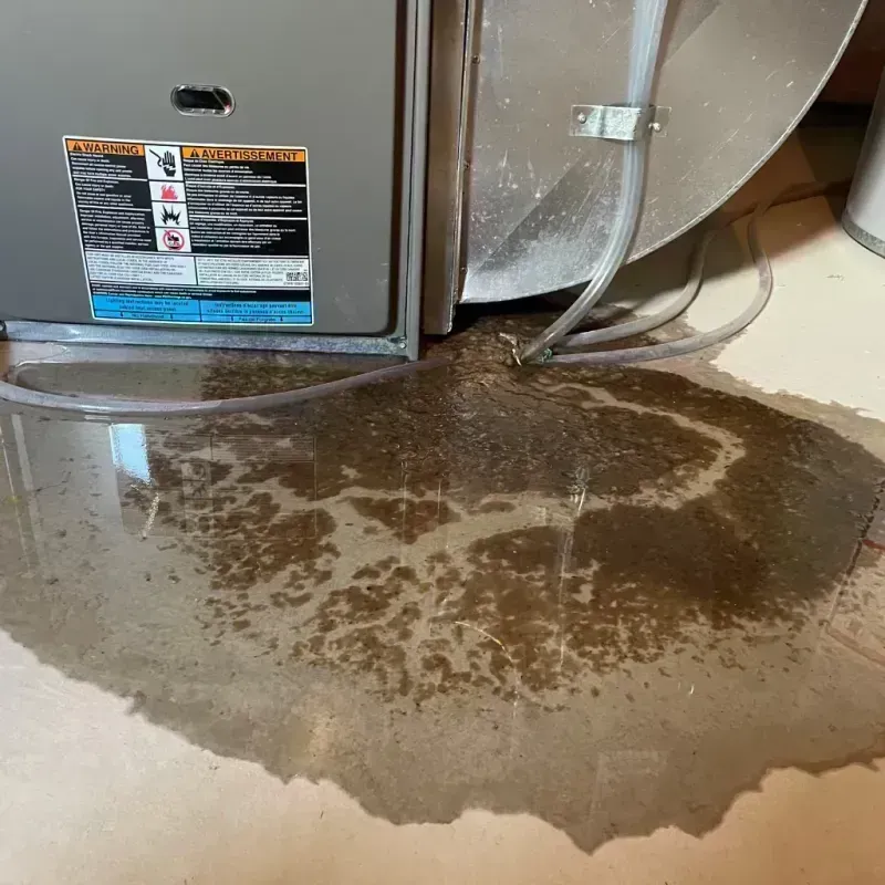 Appliance Leak Cleanup in McComb, MS